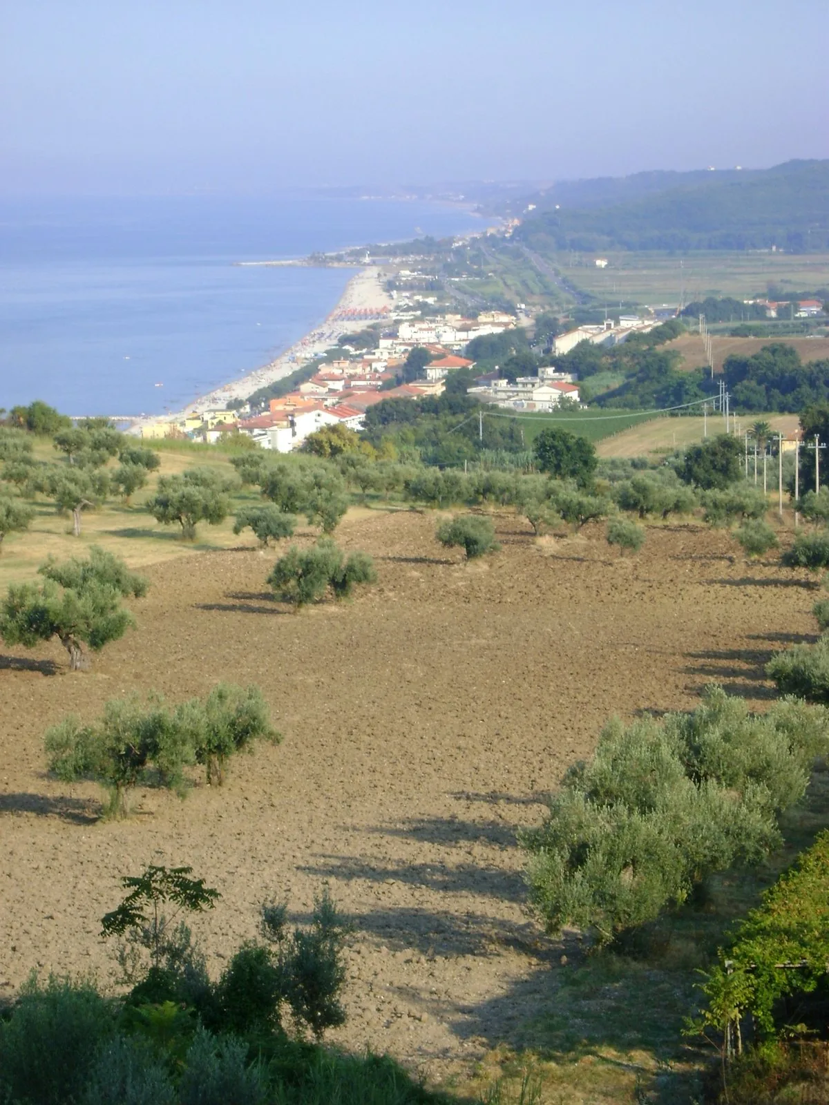 Fossacesia Marina vista dalle colline di ulivi alle sue spalle
