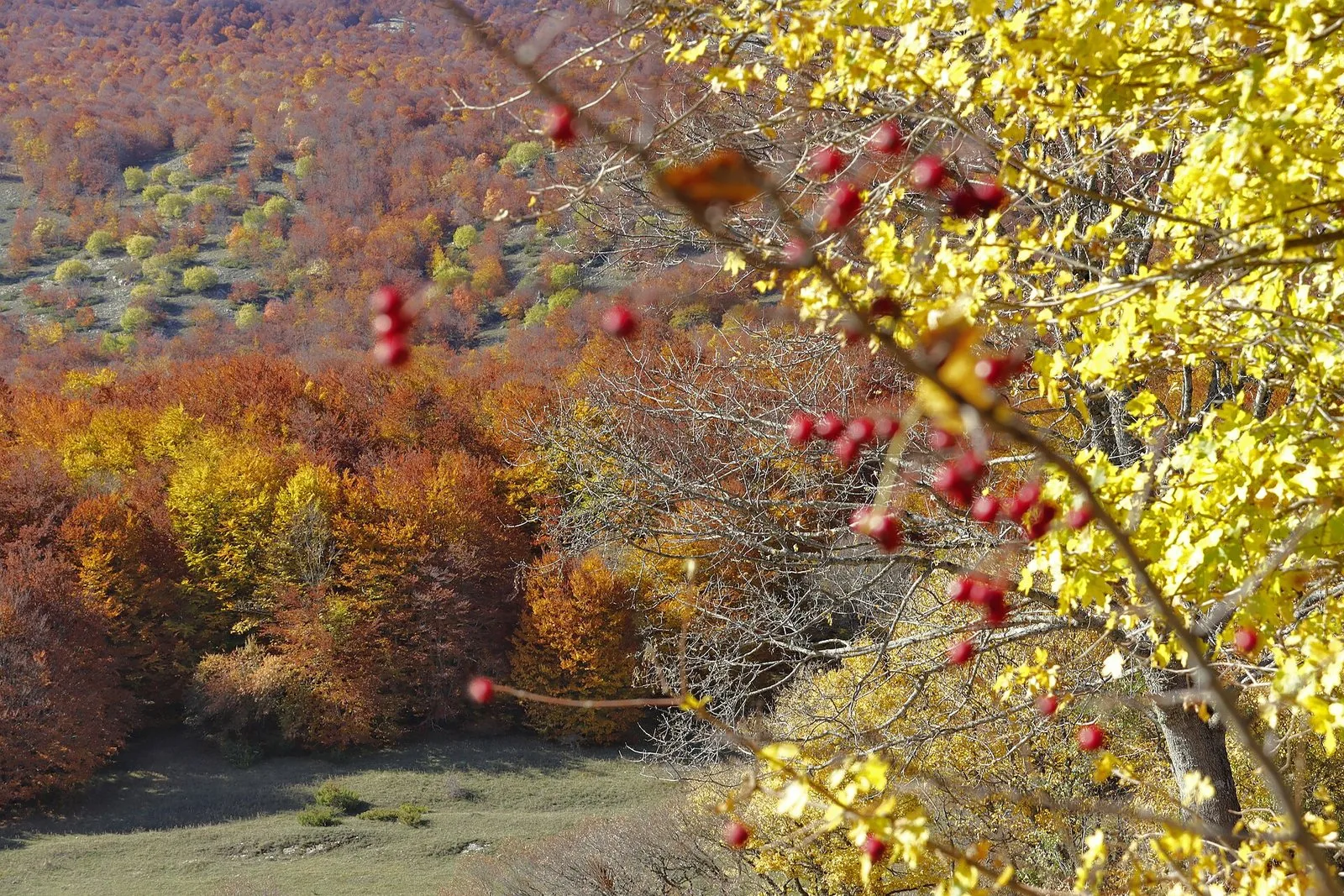 I colori dell'autunno nel Parco Nazionale della Maiella